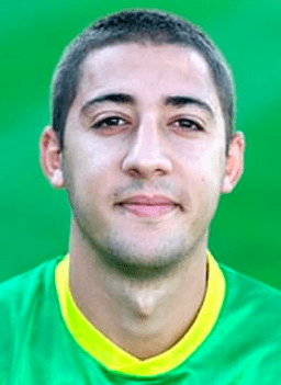 Abelha